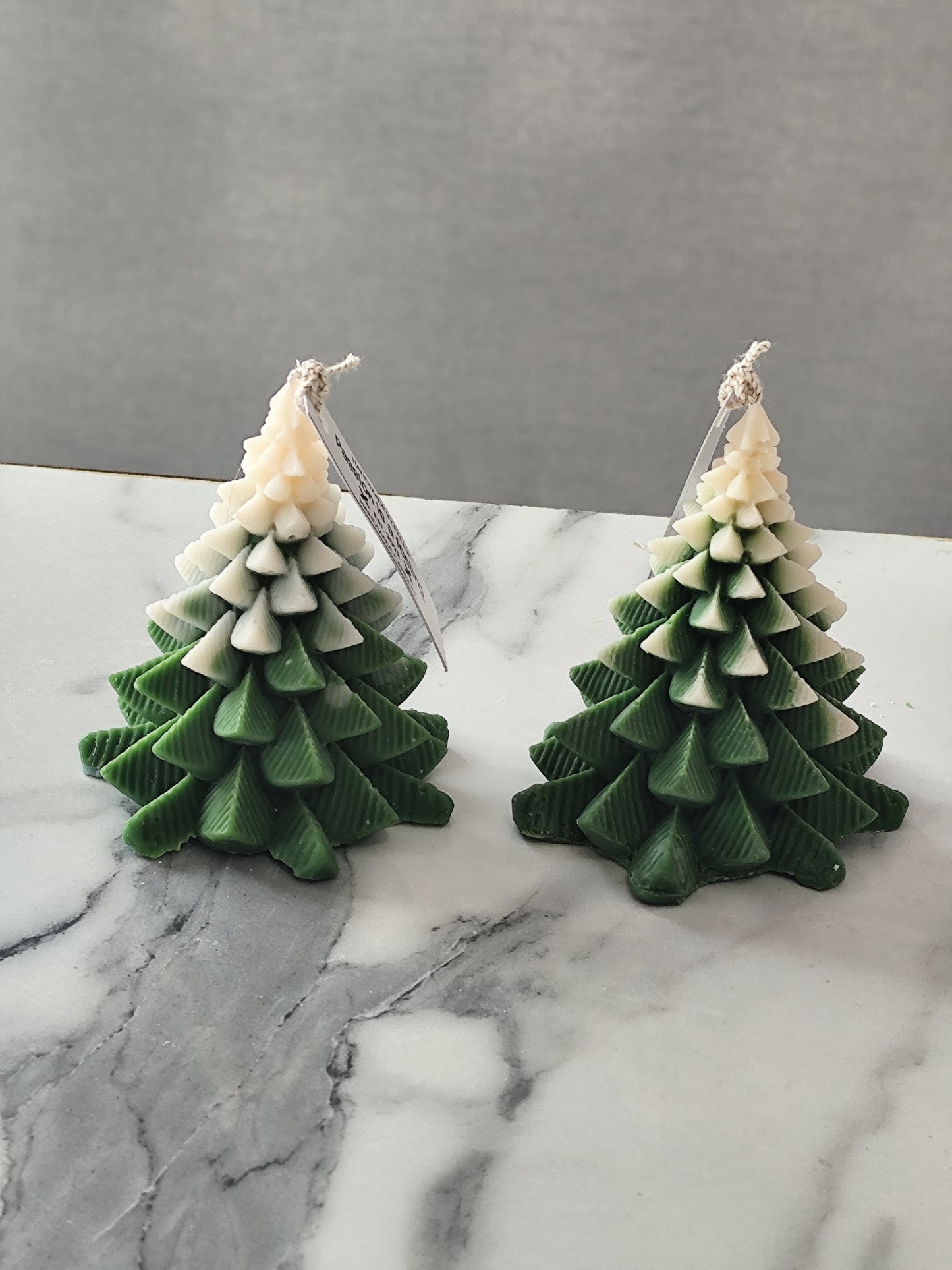 Δέντρο σχέδιο 2